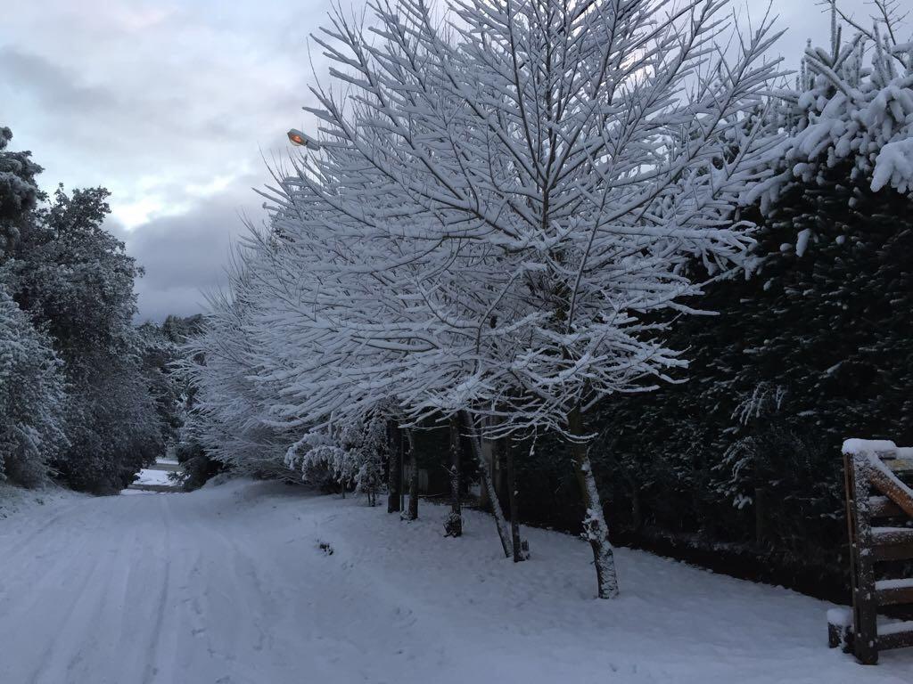 Villa Alborg บียาลาอังกอสตูรา ภายนอก รูปภาพ